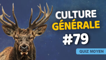 Quiz Culture générale moyen 79