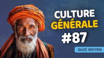 Quiz Culture générale moyen 87