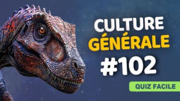 Quiz Culture générale facile 102