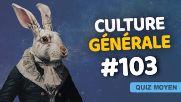 Quiz Culture générale moyen 103