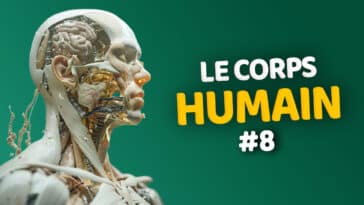 Quiz sur le corps humain 8