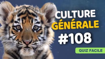 Quiz Culture générale facile 108