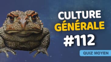 Quiz Culture générale moyen 112