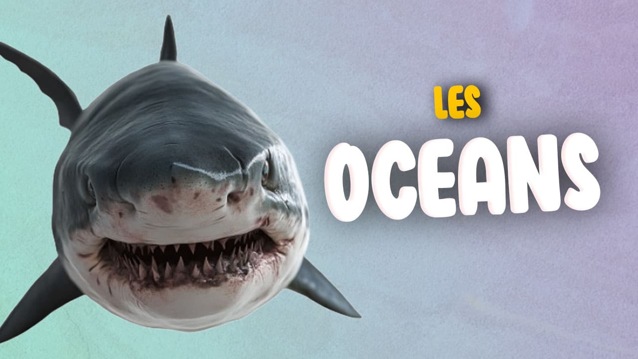 Quiz sur les Océans