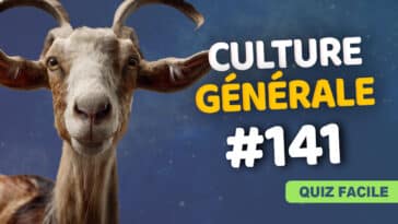 Quiz de Culture Générale 141